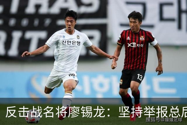 反击战名将廖锡龙：坚持举报总后勤部副部长谷俊山，结果如何？