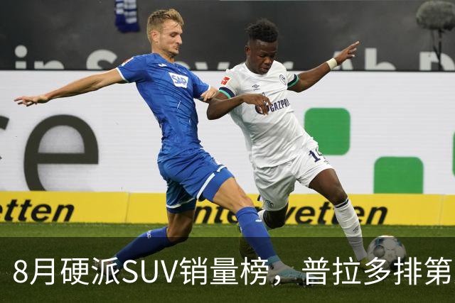 8月硬派SUV销量榜，普拉多排第八，豹8杀回前十